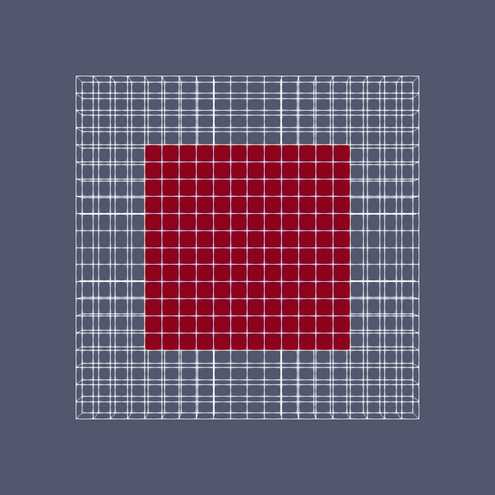 Selected cells within the cavity domain